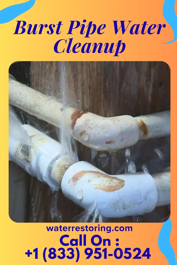 Burst Pipe Water Cleanup in North Hampton, OH