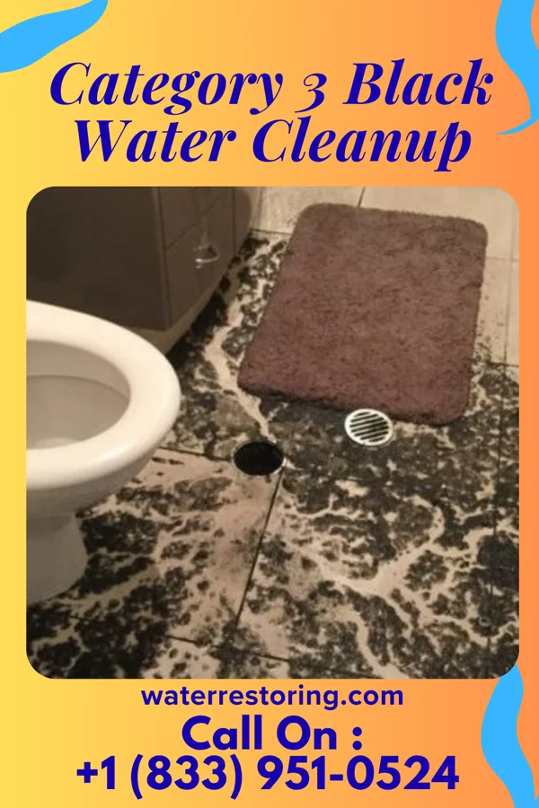 Category 3 Black Water Cleanup in North Hampton, OH