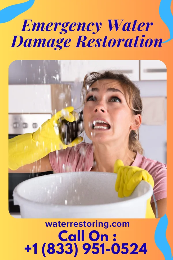 Emergency Water Damage Restoration in North Hampton, OH